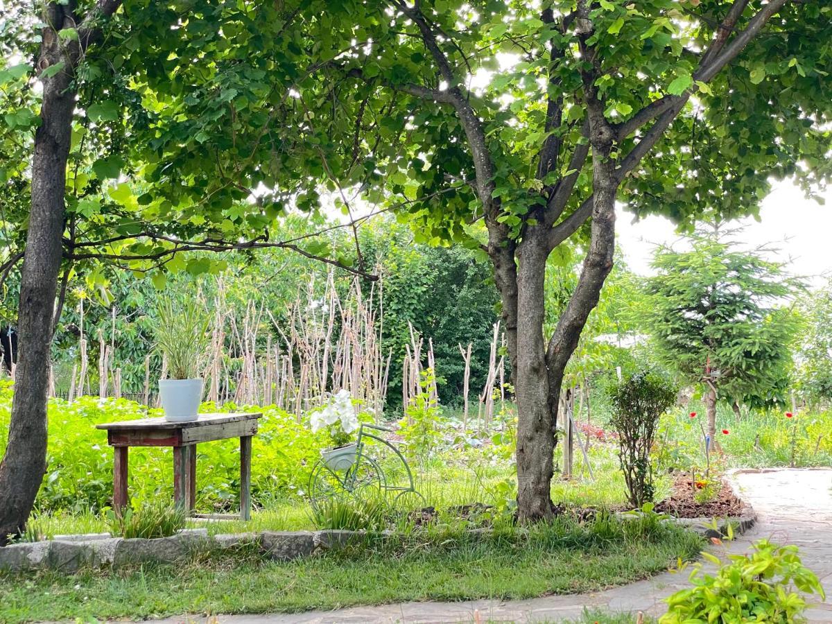 Villa Bujtina Cakuli, Rehove - Erseke Esterno foto